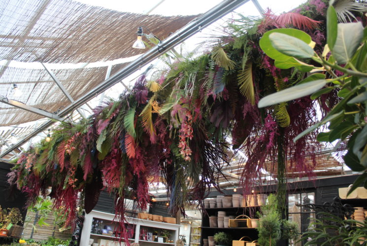 colorful flower and palm arrangement at Terrain