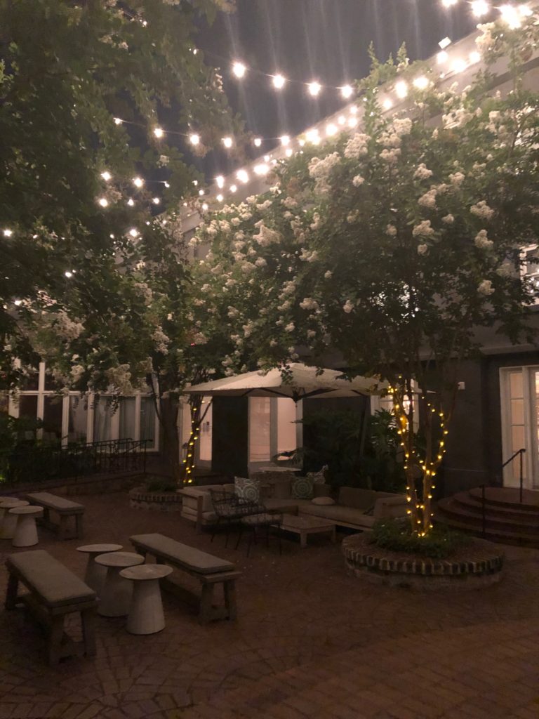 string lights over flowery trees on the patio