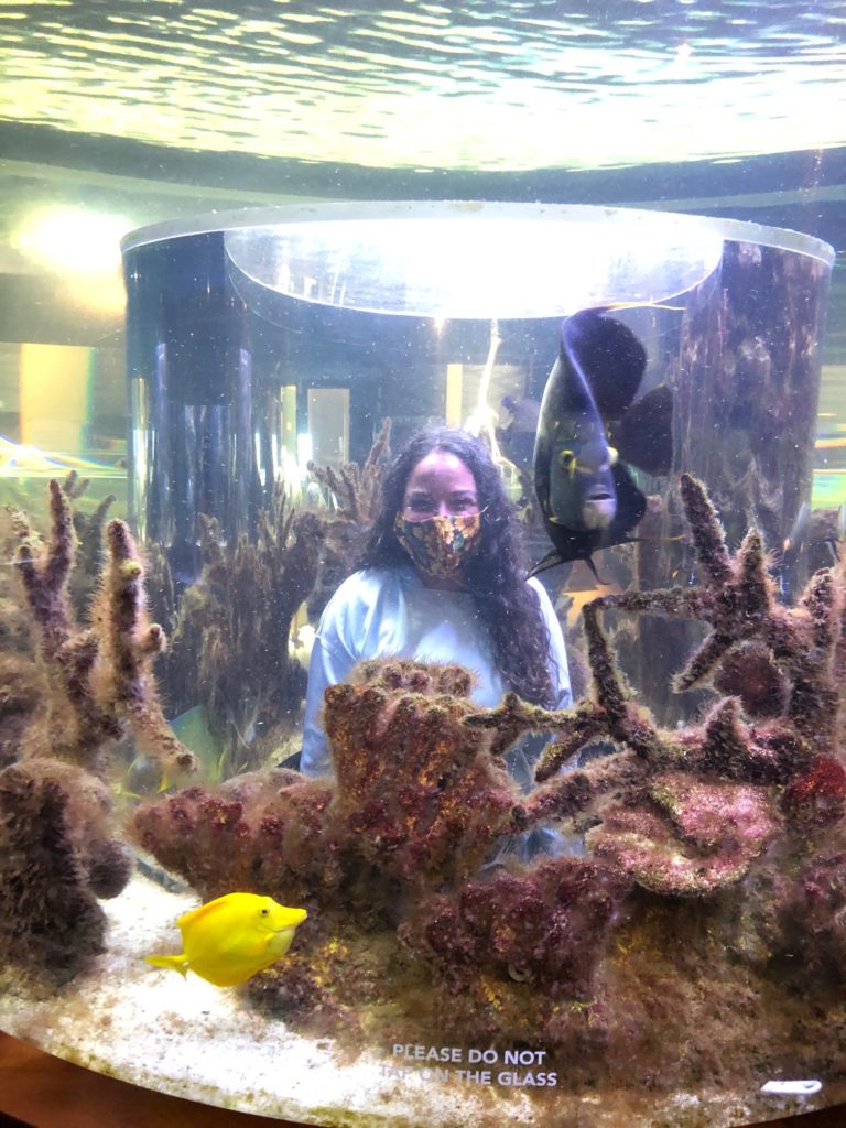Inside the aquarium at the South Florida Science Center